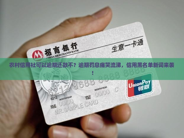 农村信用社可以逾期还款不