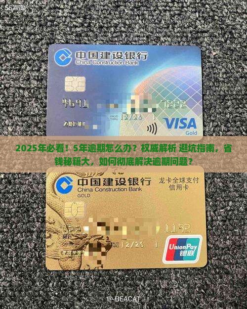 现在有5年逾期怎么办啊