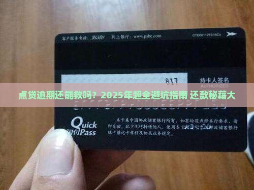 点贷逾期多久能还清