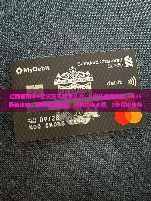 招商信用卡e招贷还不起怎么办