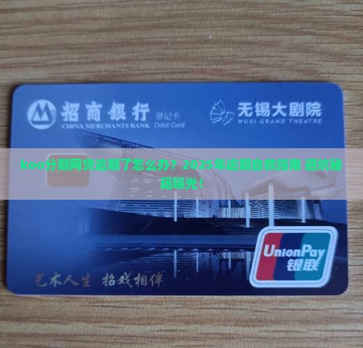 koo分期网贷逾期了怎么处理