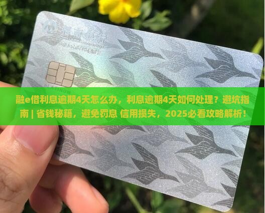 融e借利息逾期4天怎么办