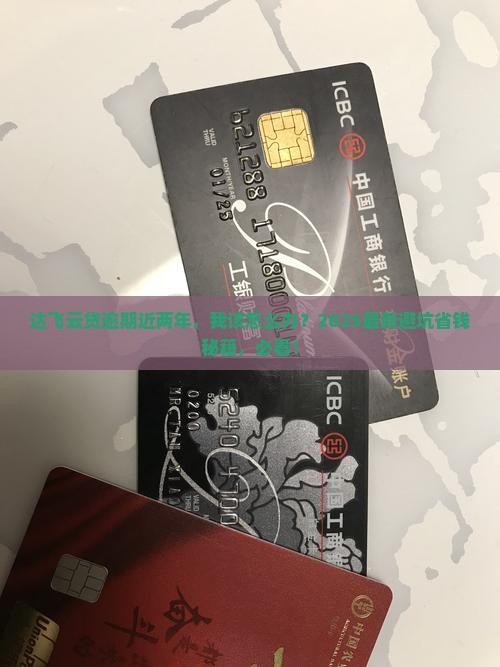 我借达飞云贷逾期快二年了怎么办