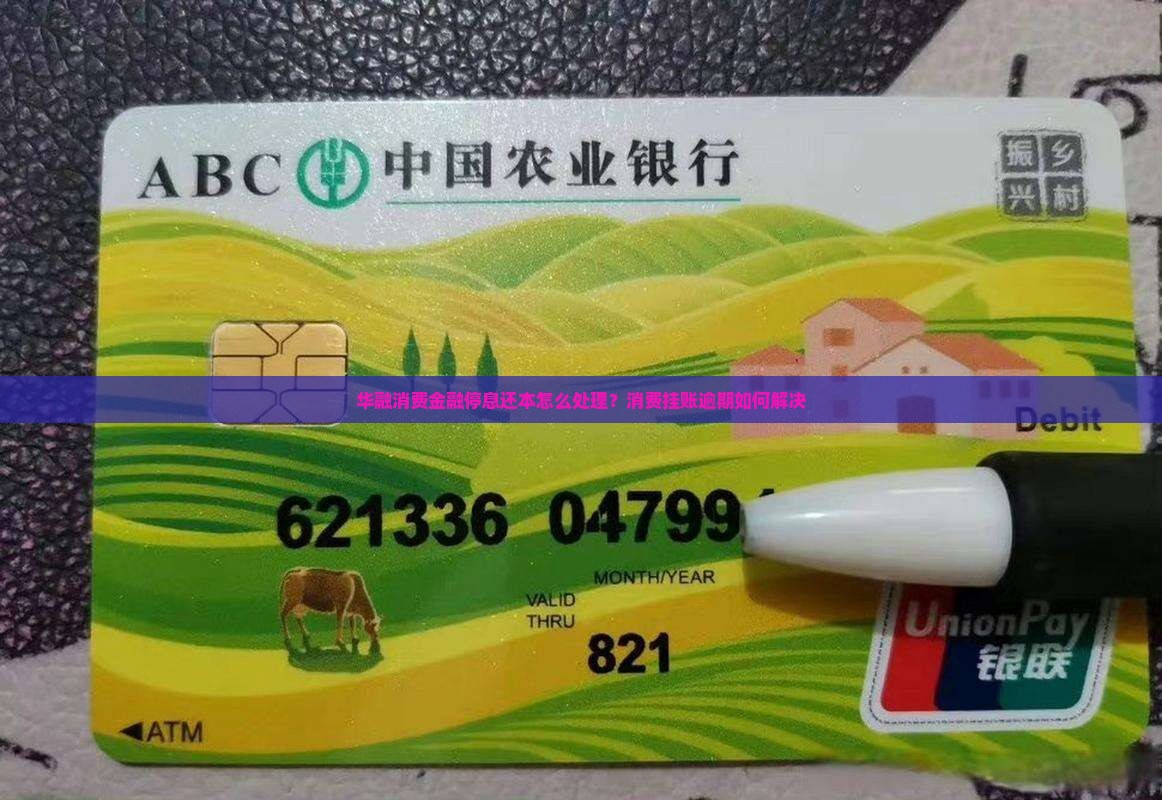 华融消费金融停息还本怎么办
