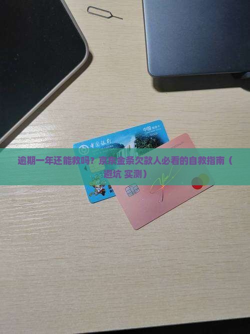 京东白条金条逾期一年的