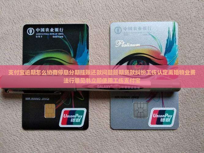 支付宝怎样协商停息分期怎么处理