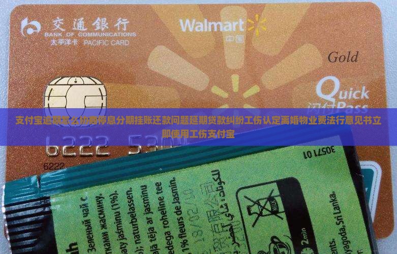 支付宝怎样协商停息分期怎么处理