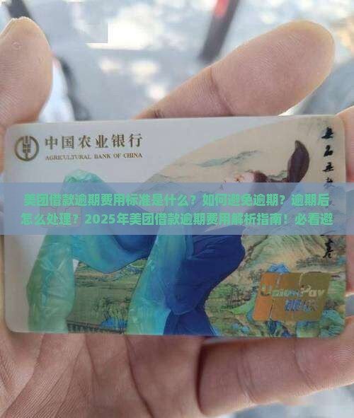 美团借款逾期费用标准及如何避免逾期