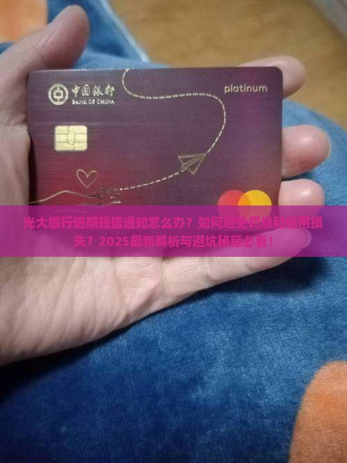 光大银行逾期短信通知怎么办