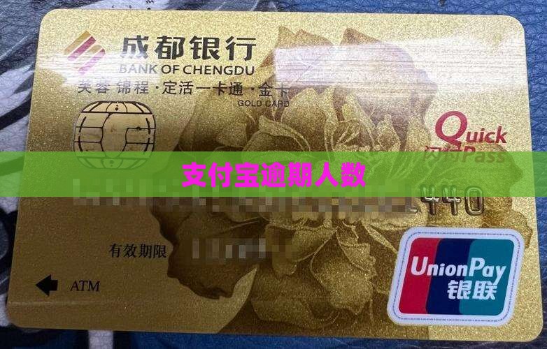 支付宝逾期人数