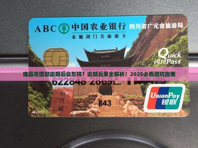 唯品花借款逾期后会发生什么