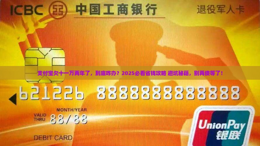 支付宝欠十一万两年怎么办