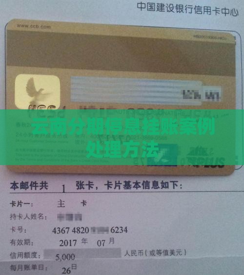 云南分期停息挂账案例如何处理