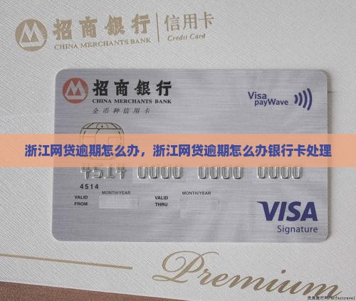 浙江网贷逾期怎么办