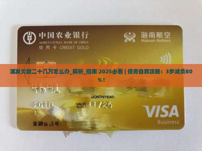 浦发欠款二十几万怎么办