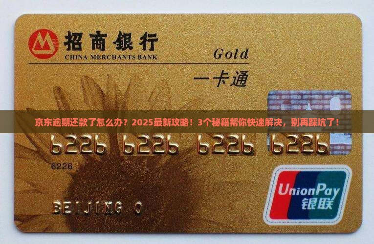 京东白条逾期还款了怎么办如何解决