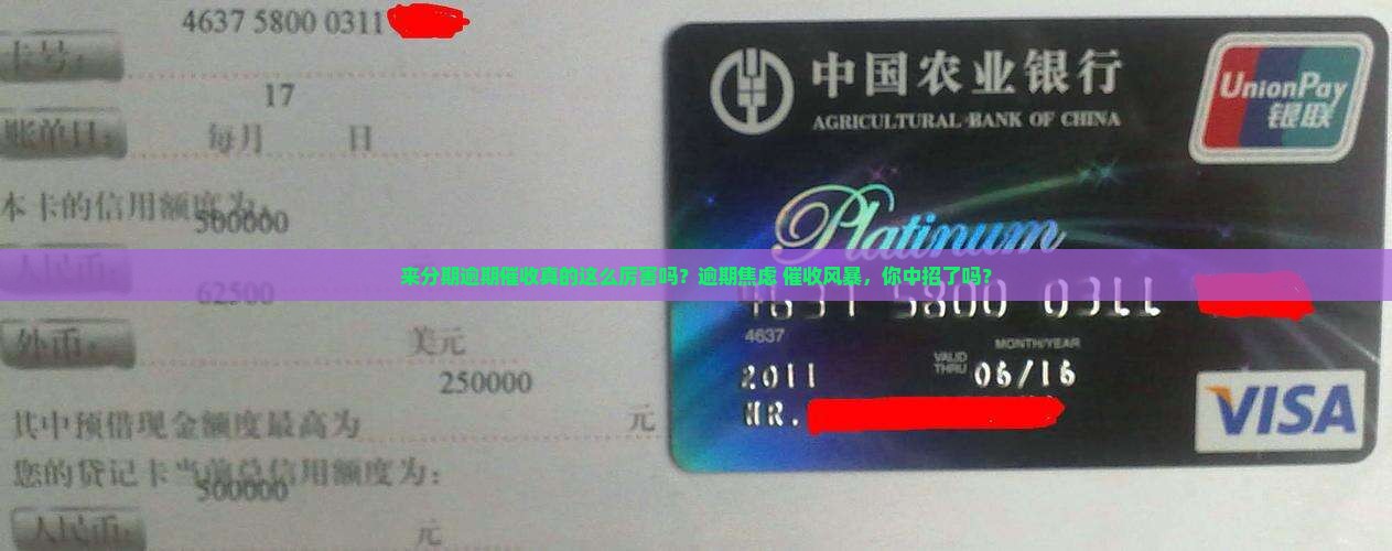 来分期逾期催收厉害