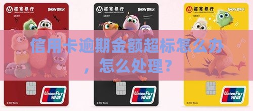蚂蚁银行信用卡逾期金额超标怎么办