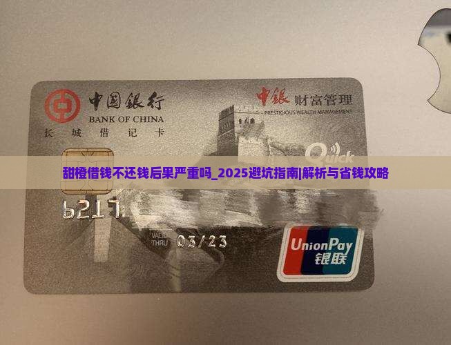 甜橙借钱不还钱后果严重吗