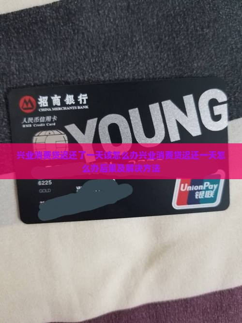 兴业消费贷迟还了一天该怎么办