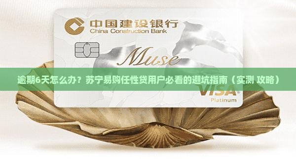 苏宁易购任性贷逾期6怎么办
