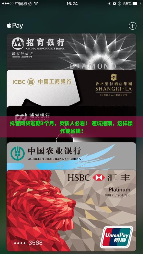 抖音里的网贷逾期怎么办