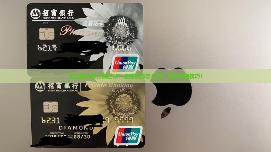 怎么跟微粒贷协商分期还款步骤详解