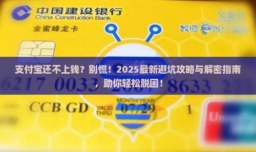 支付宝无力偿还会变成呆账怎么办