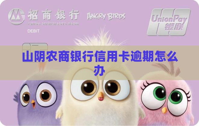山阴农商银行信用卡逾期怎么办