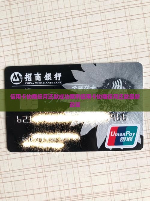 信用卡协商按月还款