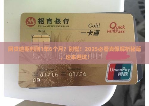 网贷逾期判刑1年6个月的法律后果是什么