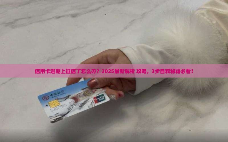 征信上有个信用卡逾期怎么办如何解决