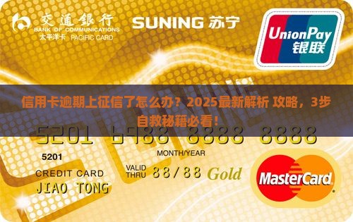 征信上有个信用卡逾期怎么办如何解决
