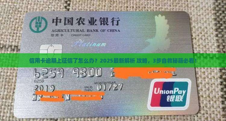 征信上有个信用卡逾期怎么办如何解决