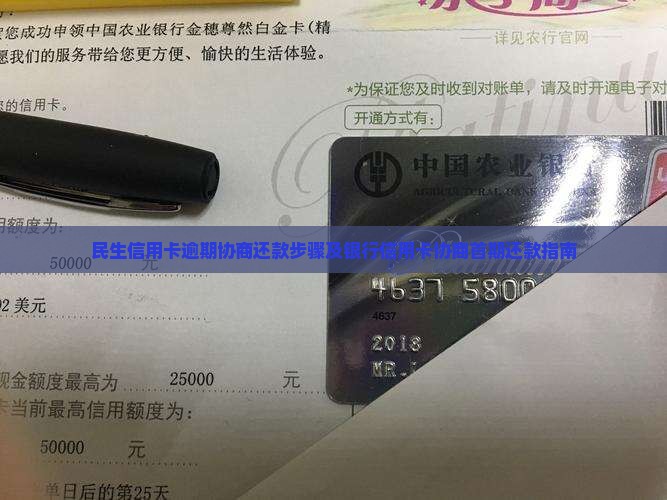 民生银行信用卡协商还首期的步骤是什么