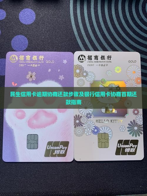 民生银行信用卡协商还首期的步骤是什么