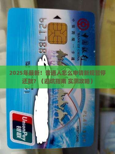 中央新规暂停还款怎么申请