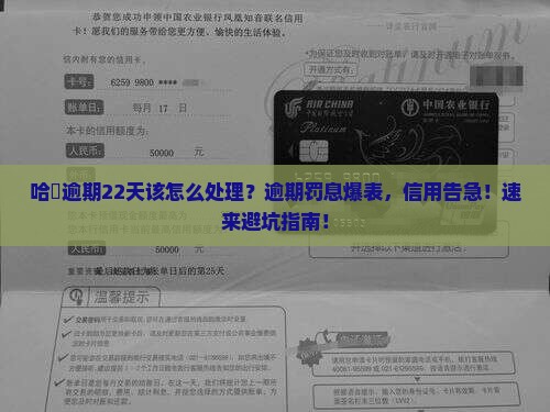 哈啰恒小花逾期22天该如何处理