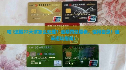 哈啰恒小花逾期22天该如何处理