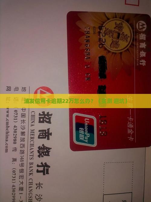 浦发信用卡逾期22万应该怎么处理