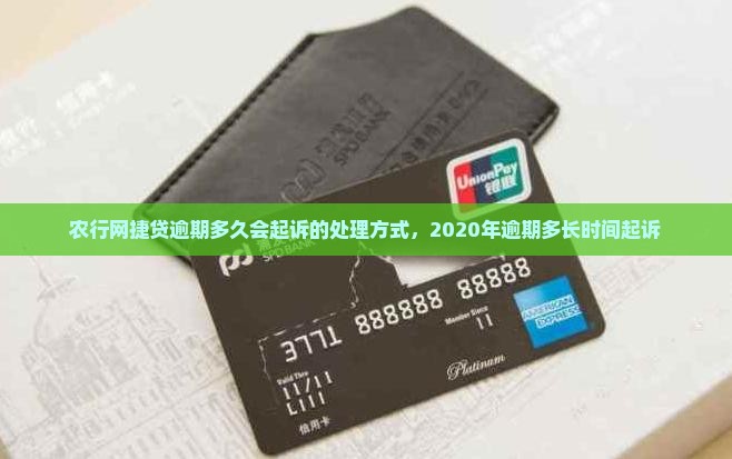农行网捷贷逾期多久会起诉的处理方式