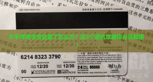 太平洋尊享贷逾期怎么办处理方法