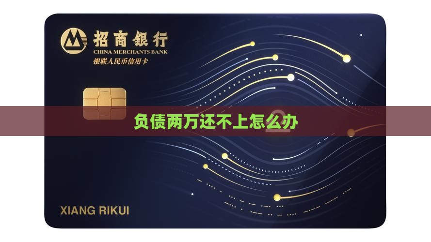 负债两万还不上怎么办