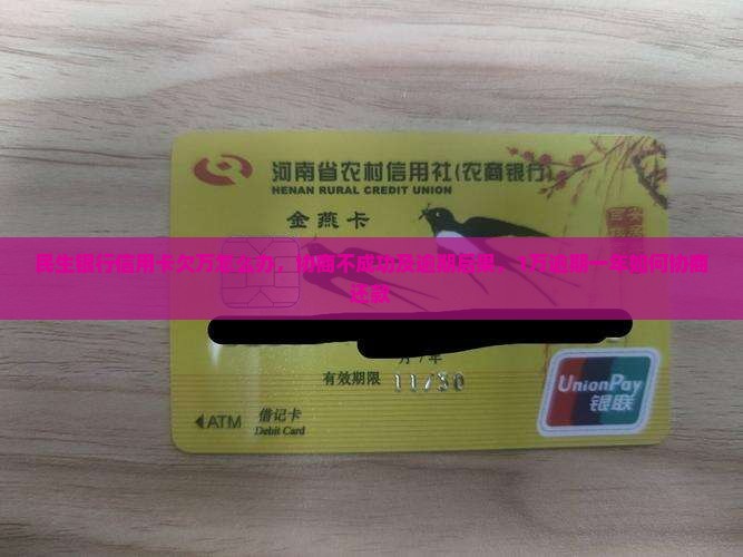 民生银行信用卡欠万怎么办