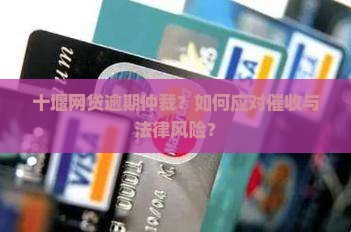 十堰网贷逾期仲裁