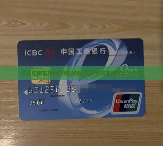 怎么和京东协商延期还款