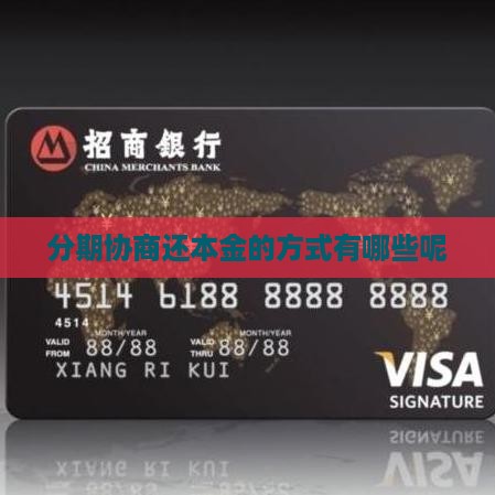 分期协商还本金的方式有哪些
