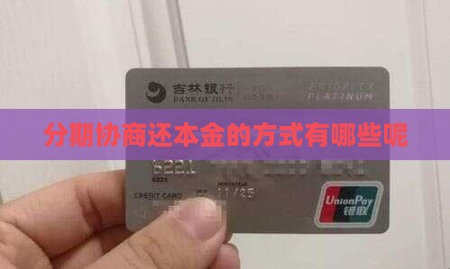 分期协商还本金的方式有哪些