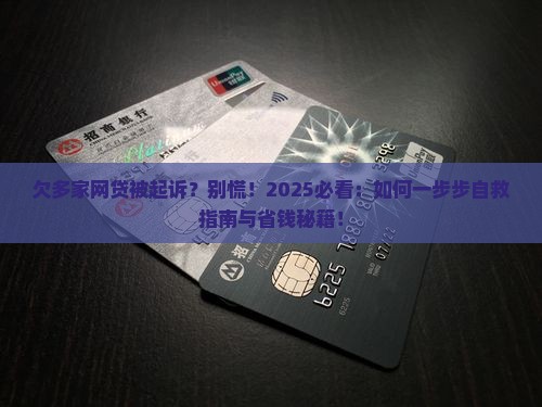 欠多家网贷被起诉是一个个来还吗