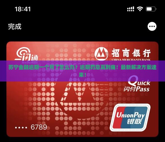苏宁金融逾期了一个月如何处理